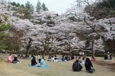 Utsunomiya Park