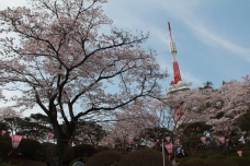 The Utsunomiya Tower