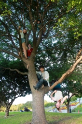 Up in the Tree